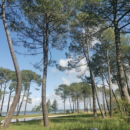 Appartements Au Coeur Du Golf, Proche Du Lac Et Velodyssee Бискарос Екстериор снимка