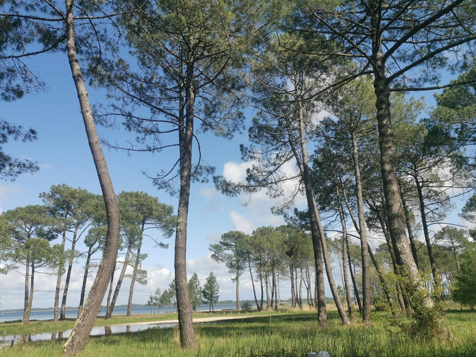 Appartements Au Coeur Du Golf, Proche Du Lac Et Velodyssee Бискарос Екстериор снимка